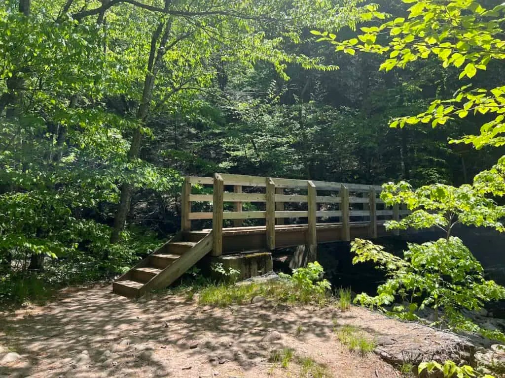Wittenberg Mountain Hike of the Catskills Trail Guide)