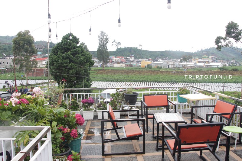 Review Homestay Puspa Indah Syariah Dieng Triptofun