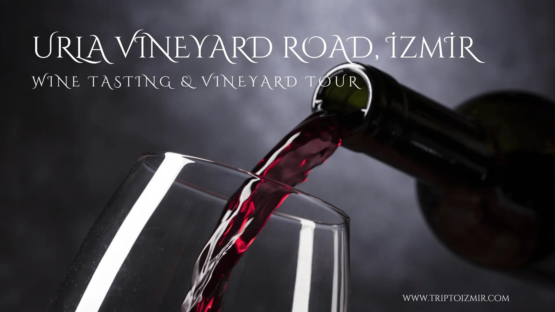 Urla Vineyard Road, İzmirWine Tasting & Vineyard Tour Trip to İzmir