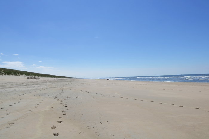 Zandvoort in Bildern Ein Spaziergang am wunderschönen Nordseestrand