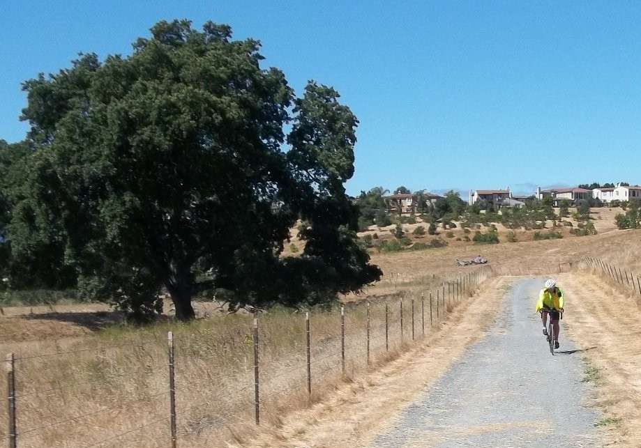 San Ramon Dublin Windemere Danville loop TripTrack