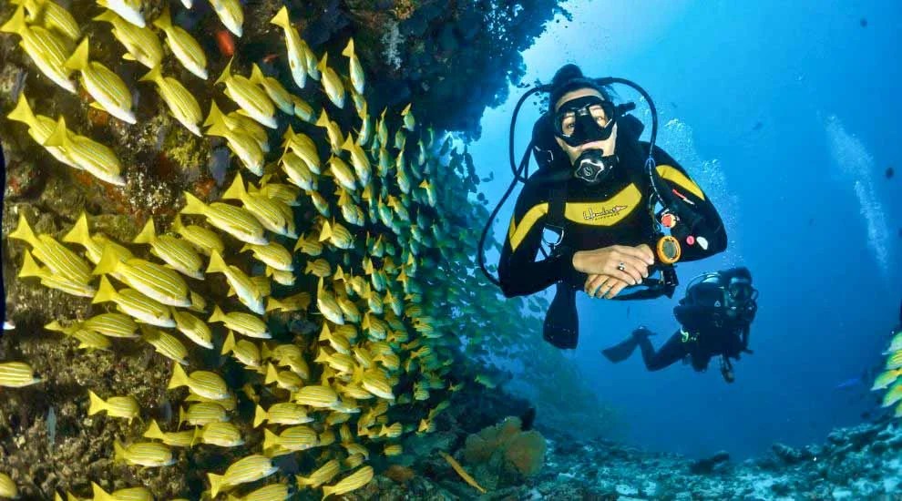 Scuba Diving in Goa Book Online Price INR 1250/ Trip Tradition