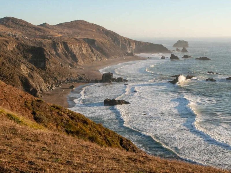 16 Most Fun Things To Do In Jenner, California