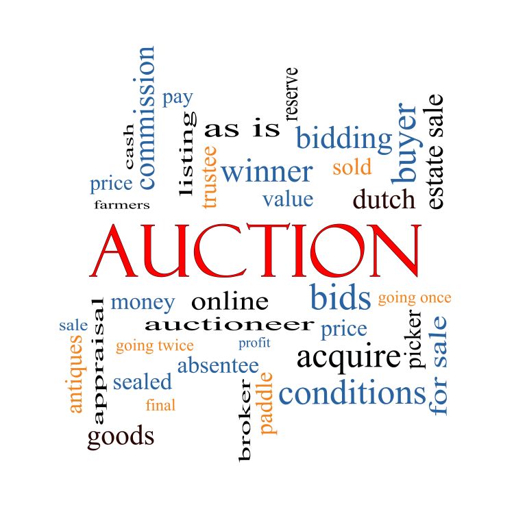 Get ready to raise your paddles Auctions are back in town! Trish Breen Property