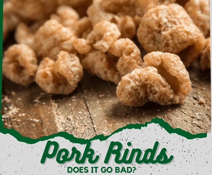Do Pork Rinds Go Bad Or Not? (Know Here!)