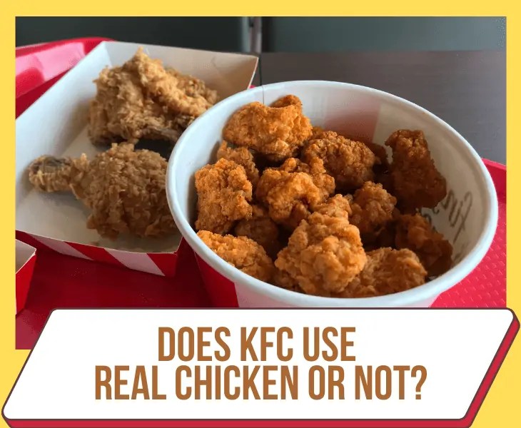 Does KFC Use Real Chicken Or Not? (Read The Whole Truth!)