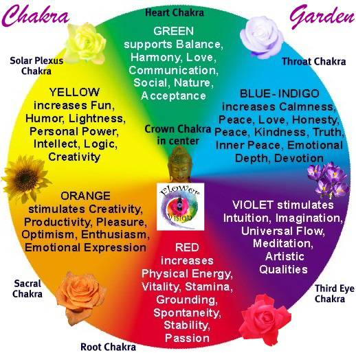 How I Discovered The Uniqueness Of Our Chakra Portals Trish Rock