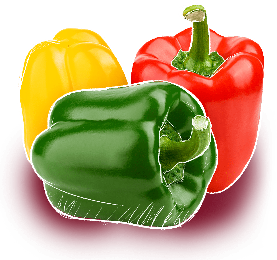 Bell Peppers TriSon Farms