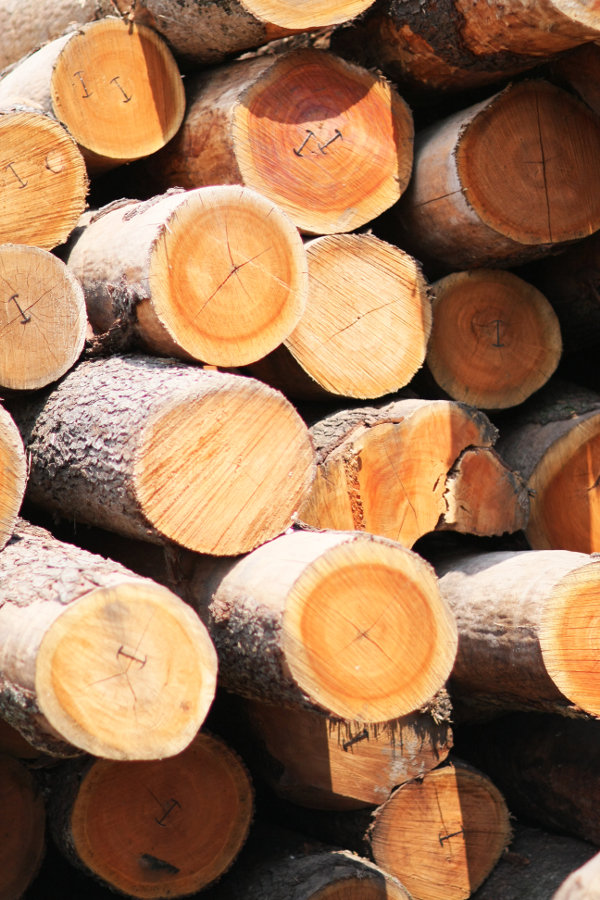 TriState Timber Award Winning Timber Company