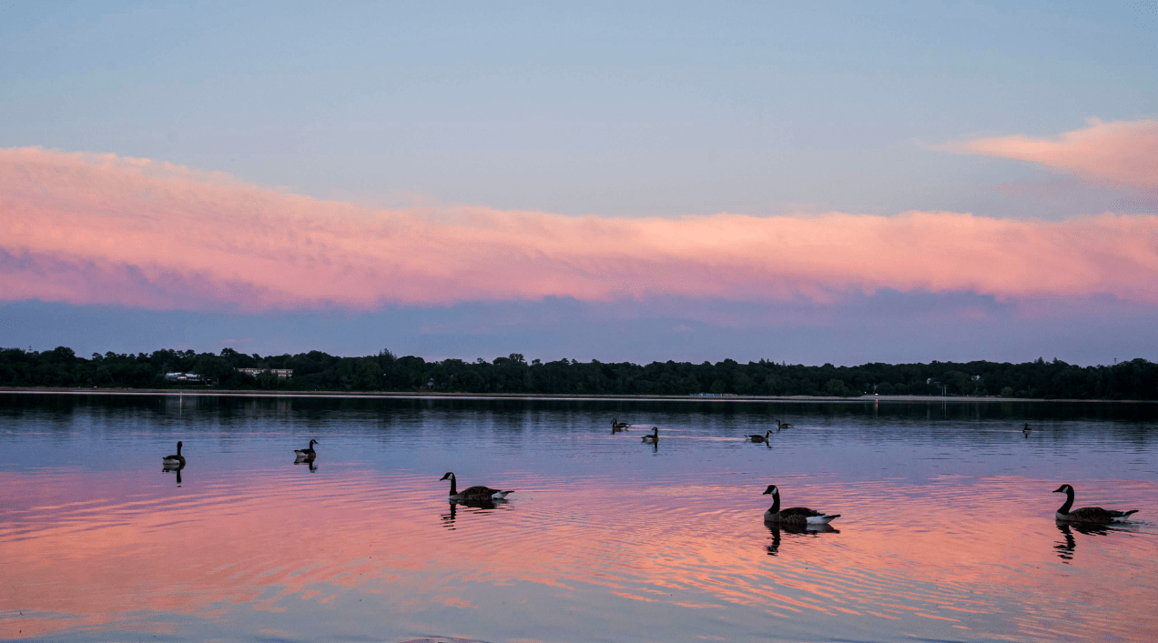 Buying in Lake Ronkonkoma Developments, lake revamp draw homebuyers