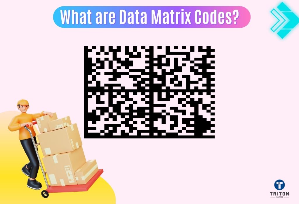 What is a Data Matrix Code A Comprehensive Guide for Beginners