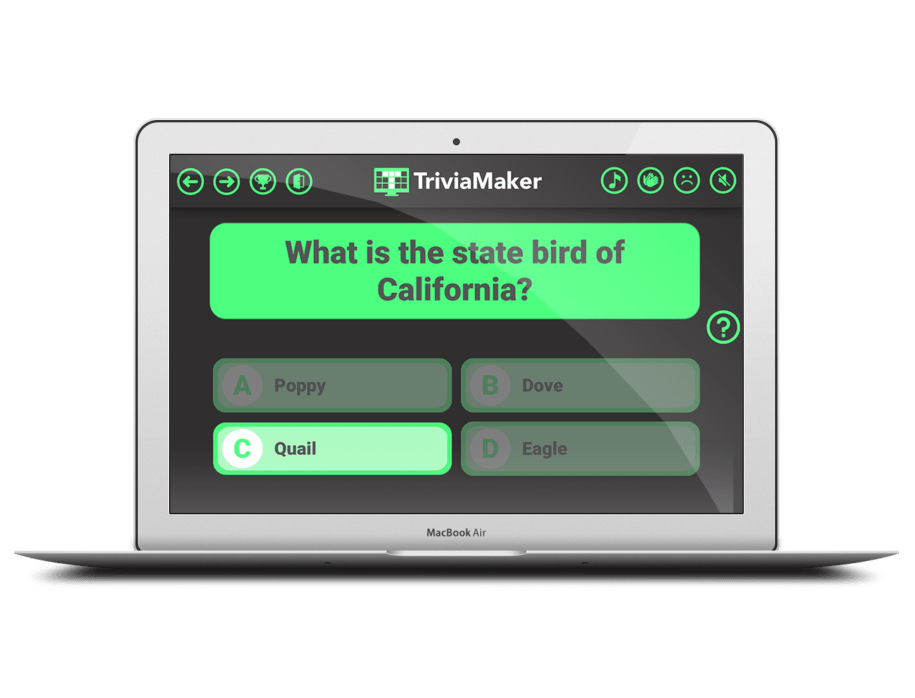 TriviaMaker Quiz Creator Create Your Own Trivia Game Show