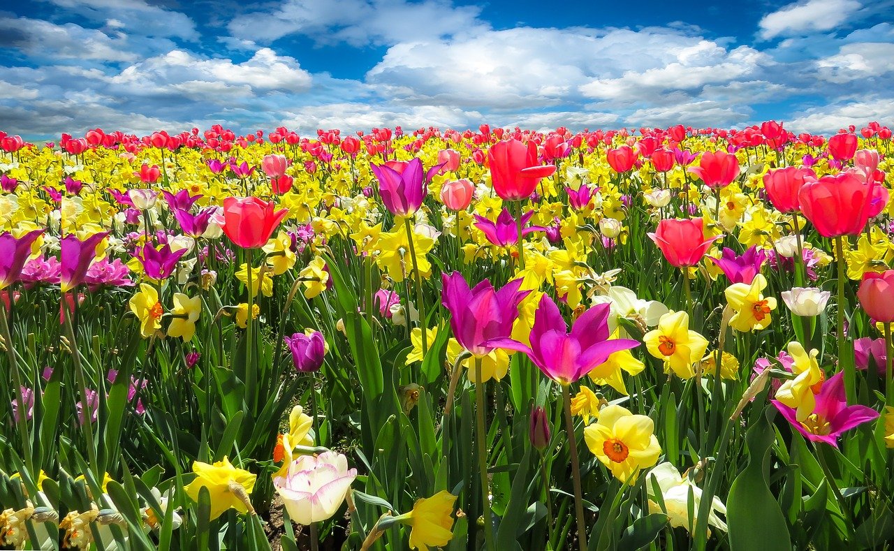 35+ Most Popular Facts about Spring for Kids