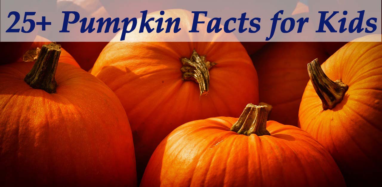 25+ Interesting Pumpkin Facts for Kids