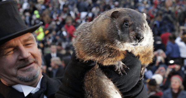 groundhog day georgia 2023 Some Groundhog Day Trivia