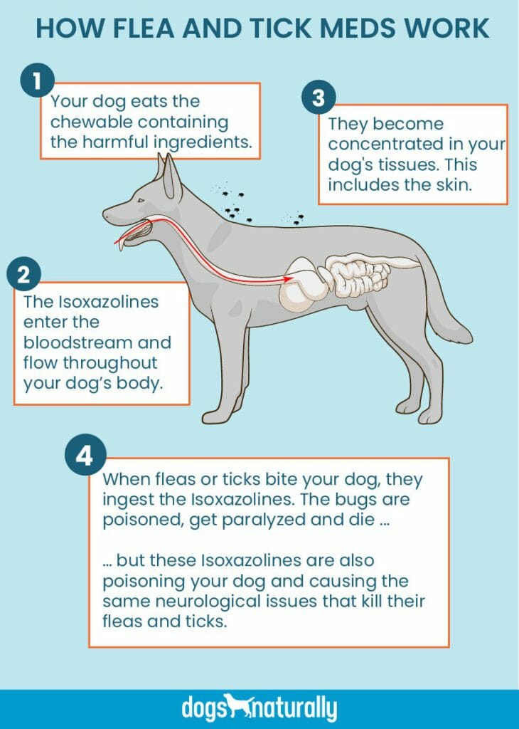 How To Protect Your Pet From Fleas and Ticks Naturally A Review