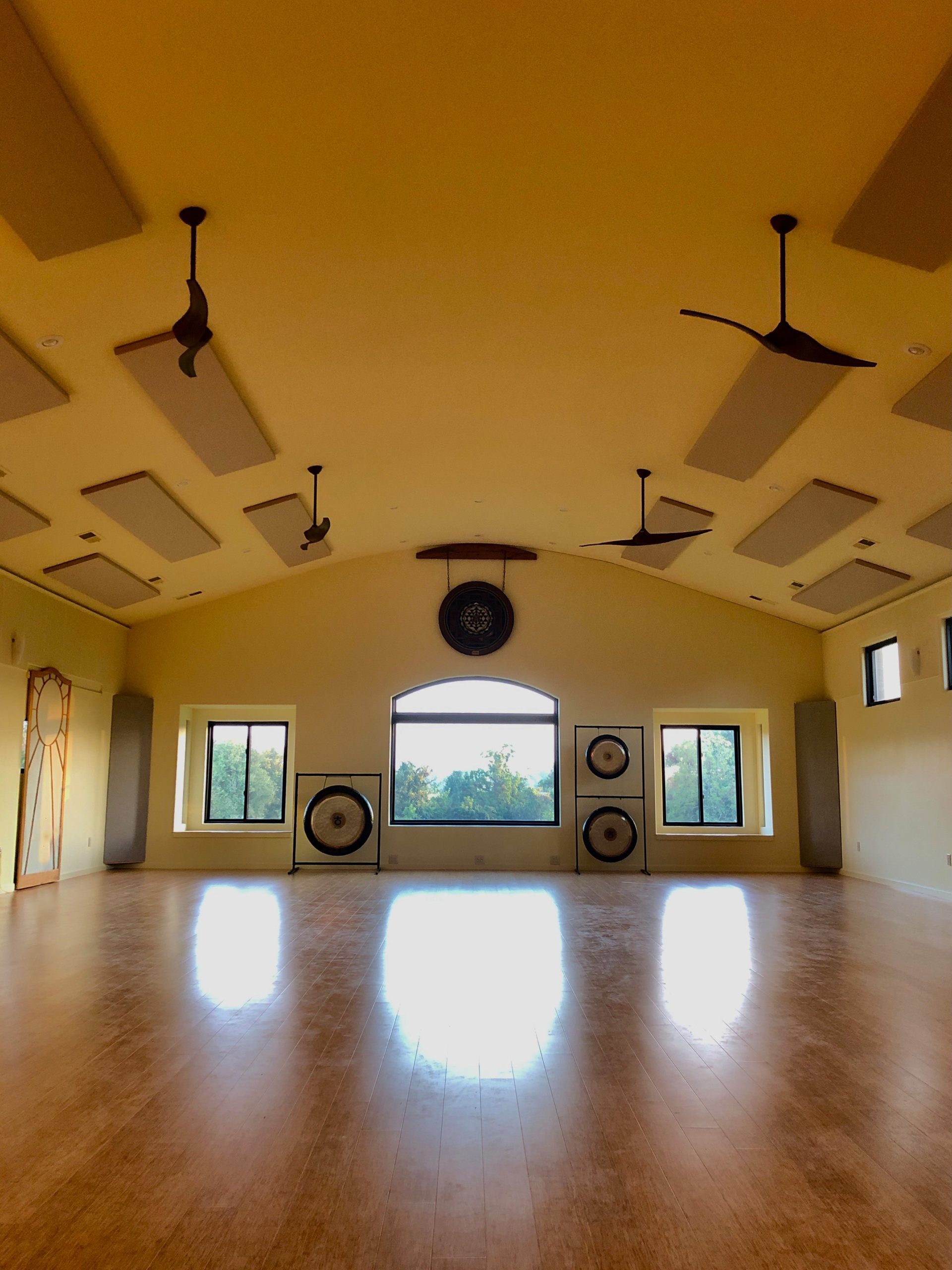 Sohum Grand Opening TriYoga Store