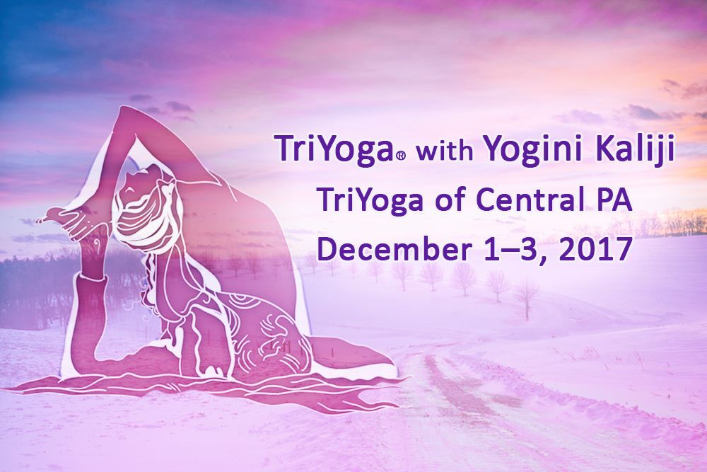 It's a Whole New Experience