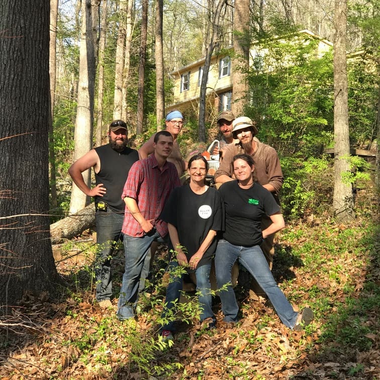 Tree Care Company Archives Top Rated Local Blog