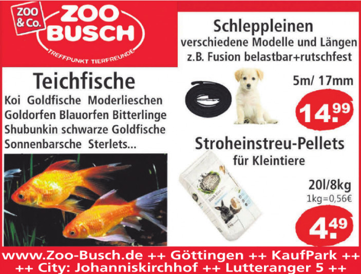 Versuchung in der City Freizeit & Familie Göttinger