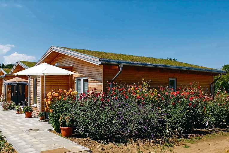 Bauen Das Comeback des Bungalows Wohnen Magdeburger Volksstimme