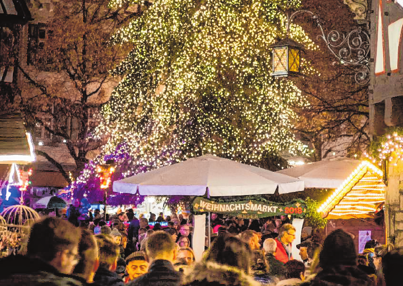 Grünes Gold Yannick Bechtel Bensheim im weihnachtlichen Glanz