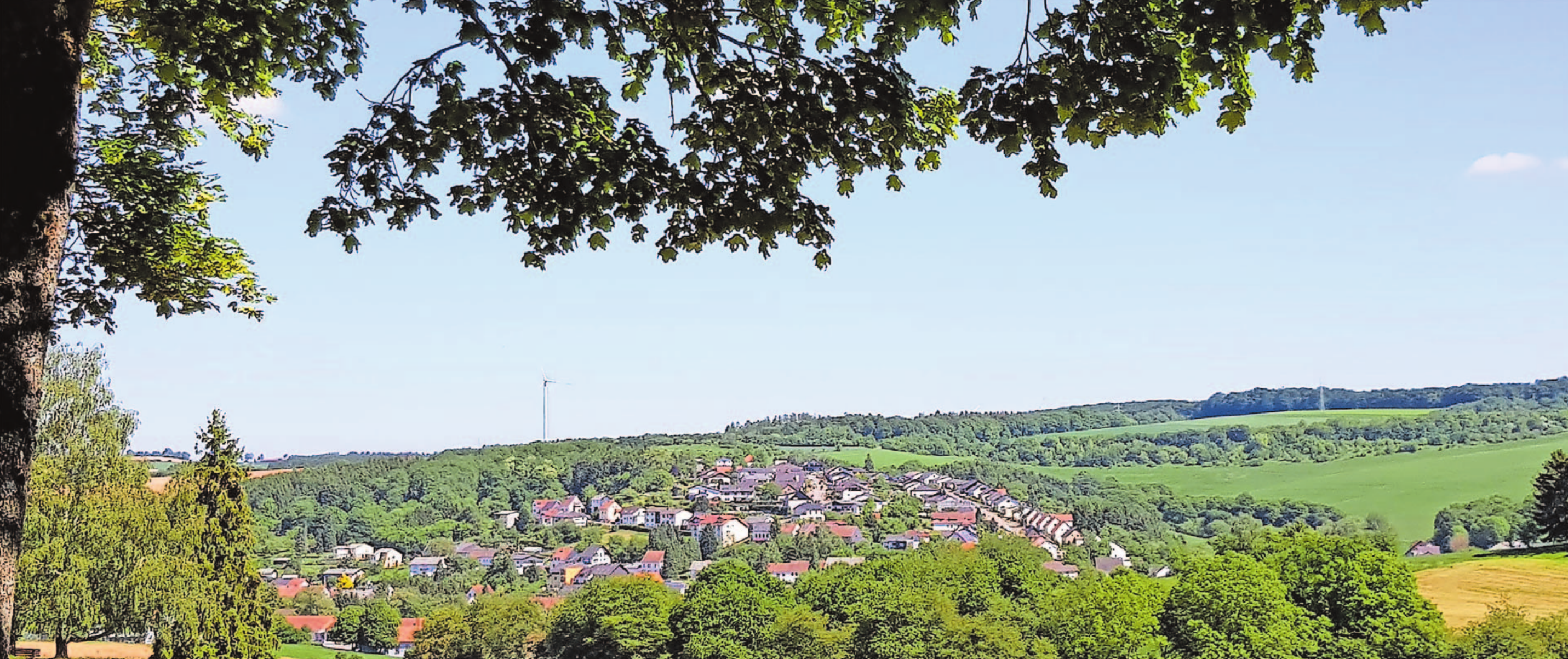 Raus in die Natur Lebach hat viel zu bieten Lokales & Termine Saarbrücker Zeitung