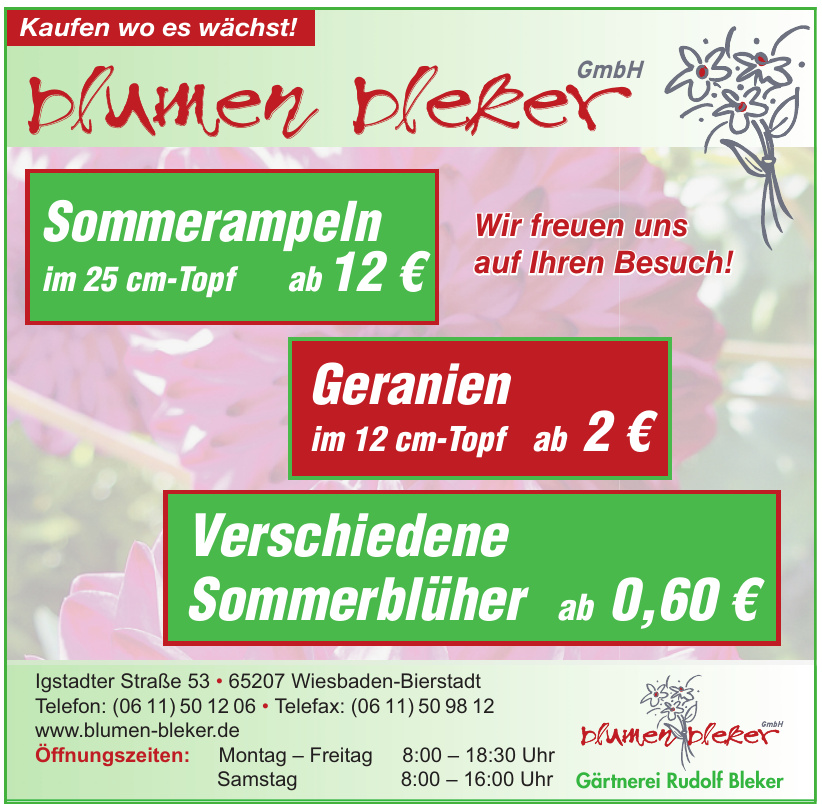 Partnerschaftsverein Bierstadt Frühlingsmarkt im Juni
