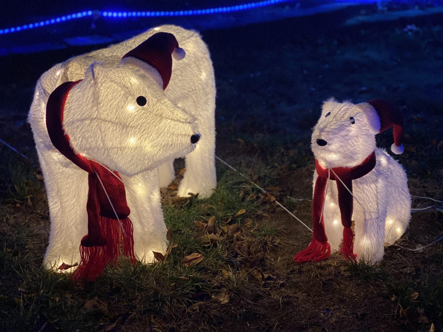 Trojaneer The Right to Lights