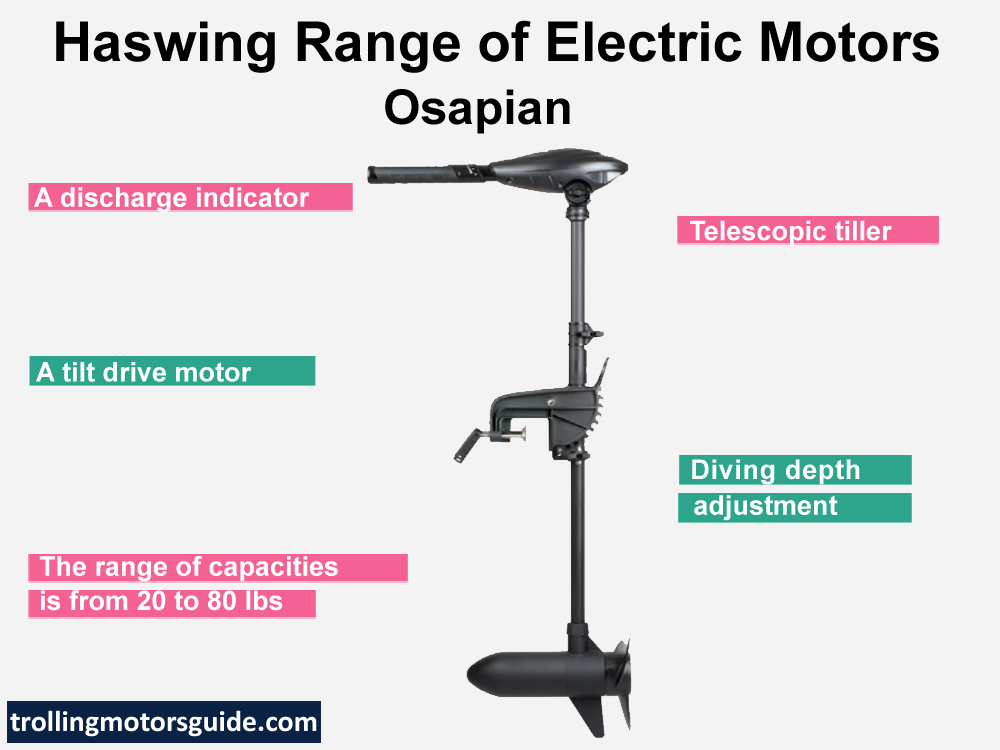 Haswing Trolling Motor (Updated July 2024)
