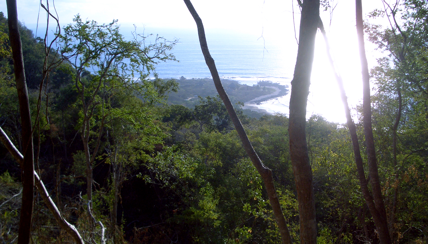 Land For Sale Troncones