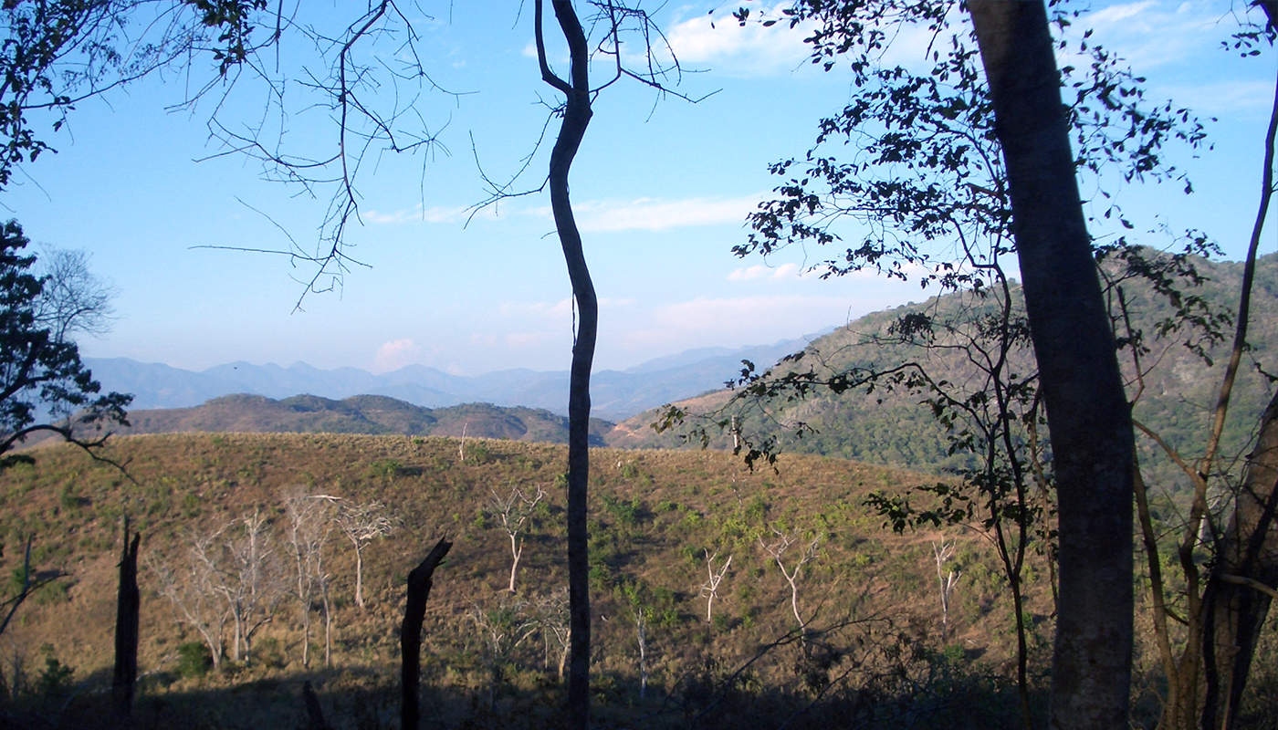 Land For Sale Troncones