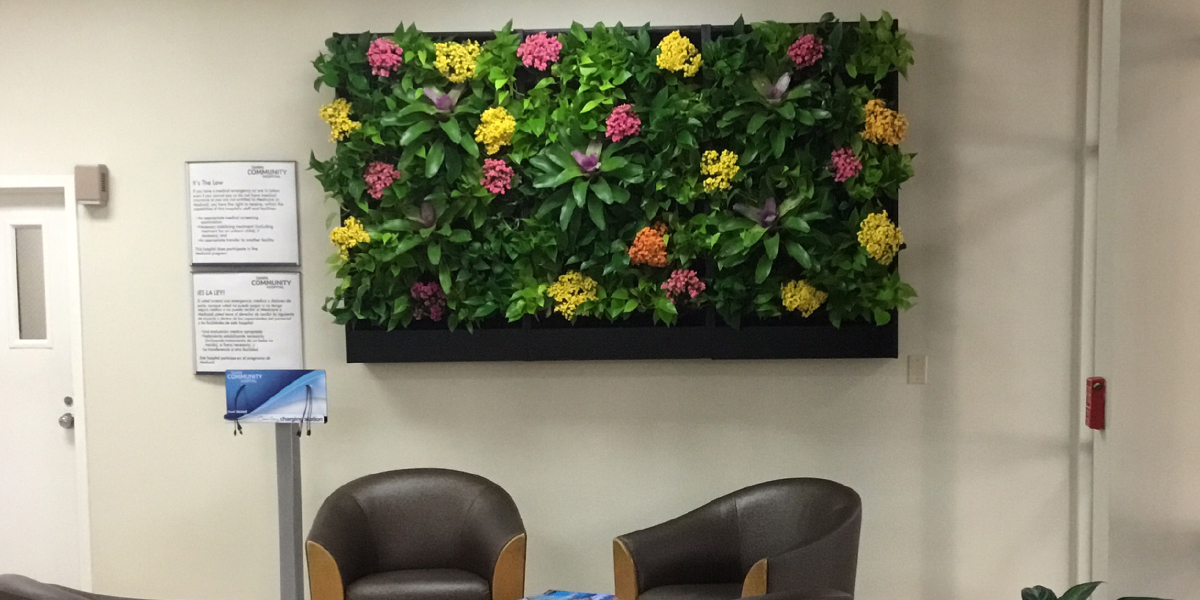 The Transformative Power of Living Walls for Business Environments Tropex