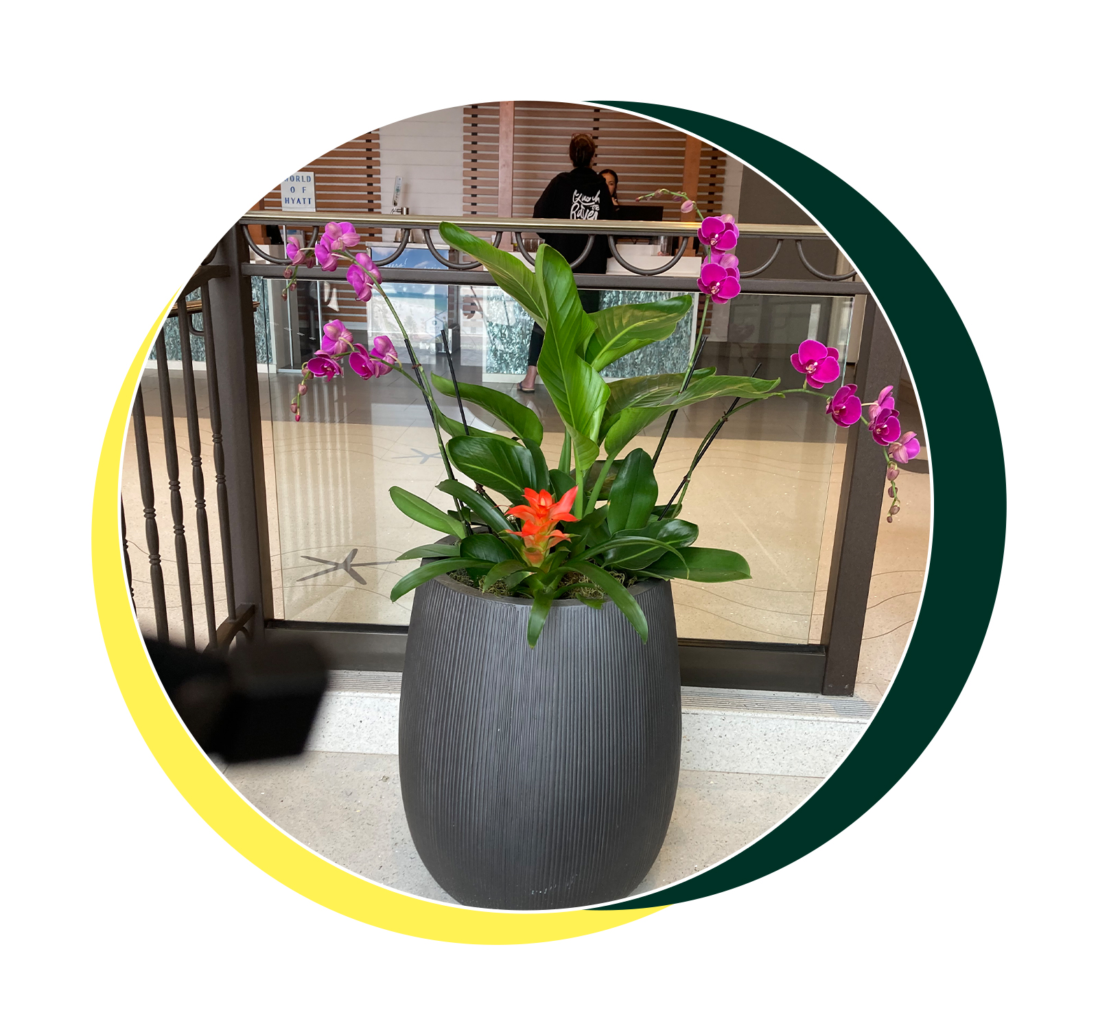 Greenery Unlimited Tropex