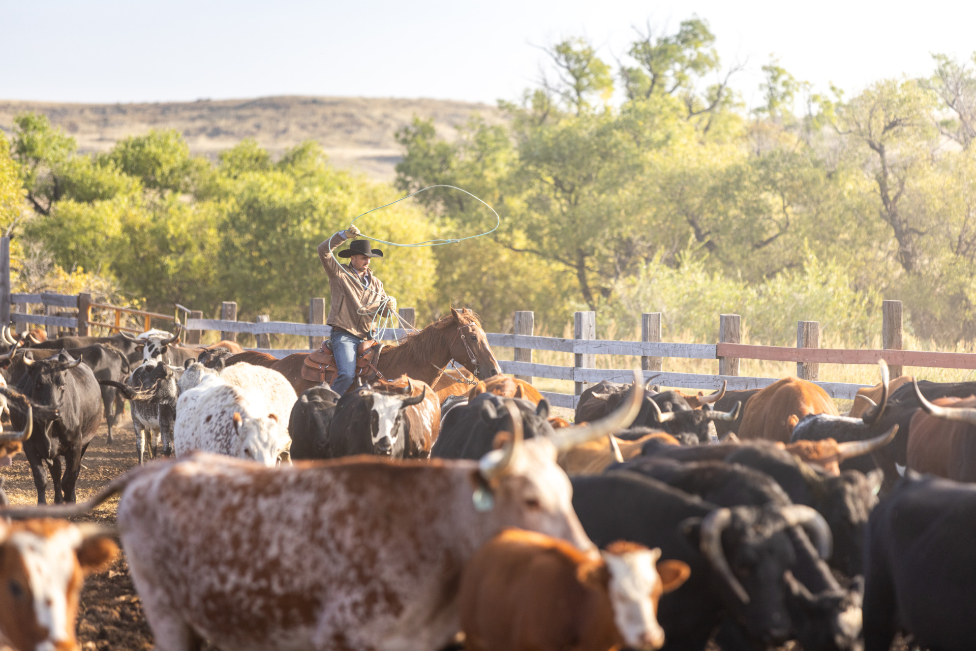 Management Trophy Ranches