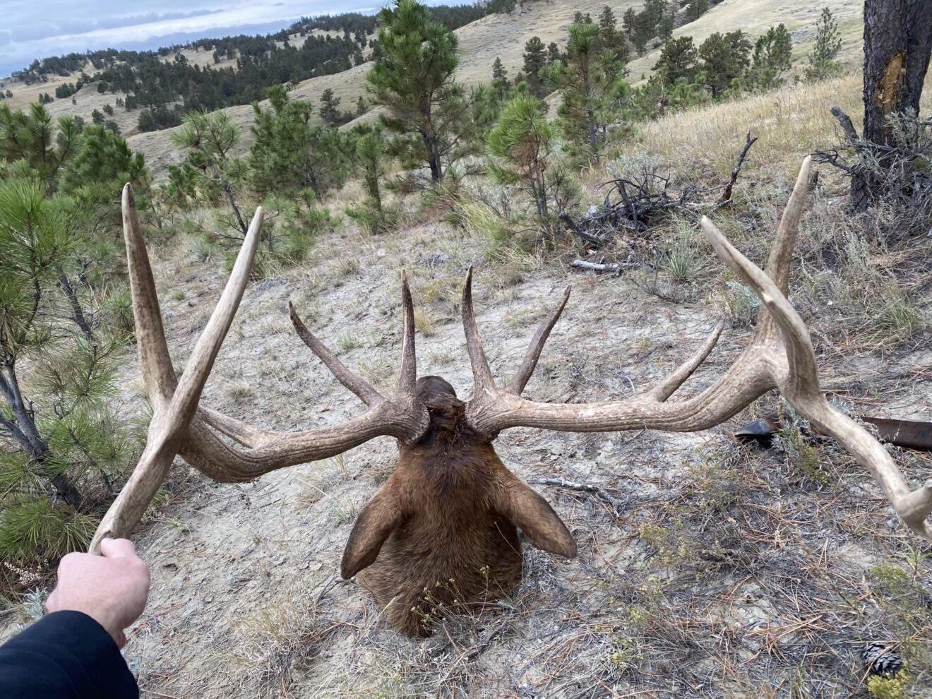 Elk Paradise Trophy Ranches