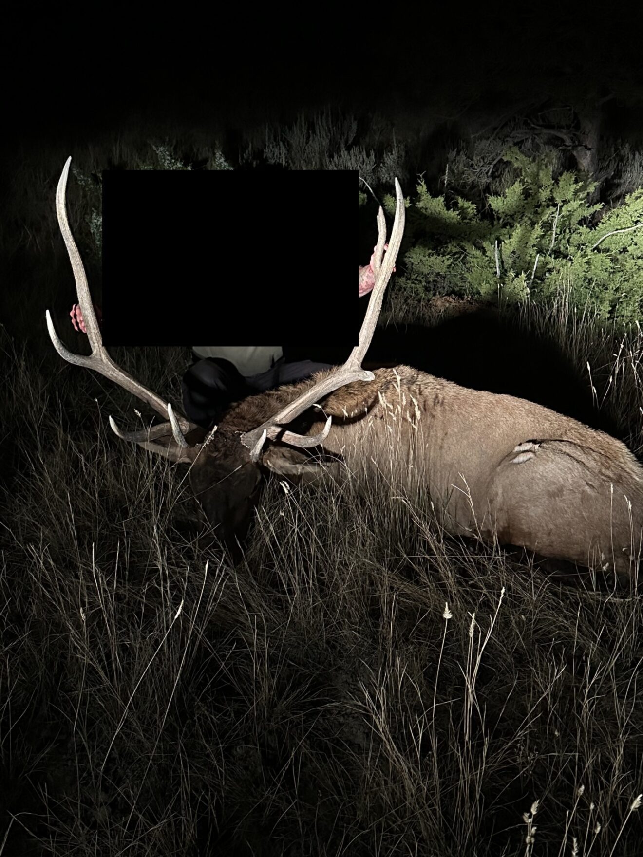 Elk Paradise Trophy Ranches