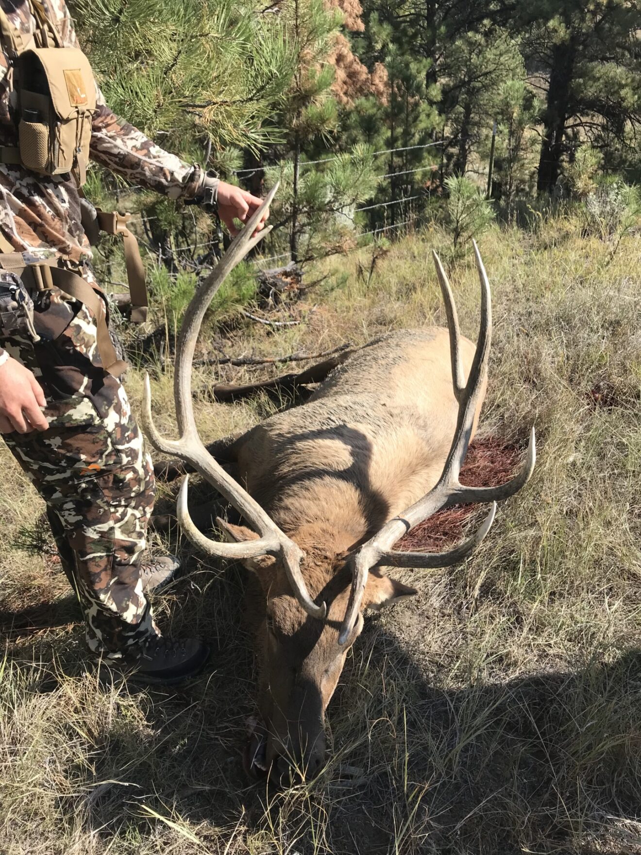 Elk Paradise Trophy Ranches
