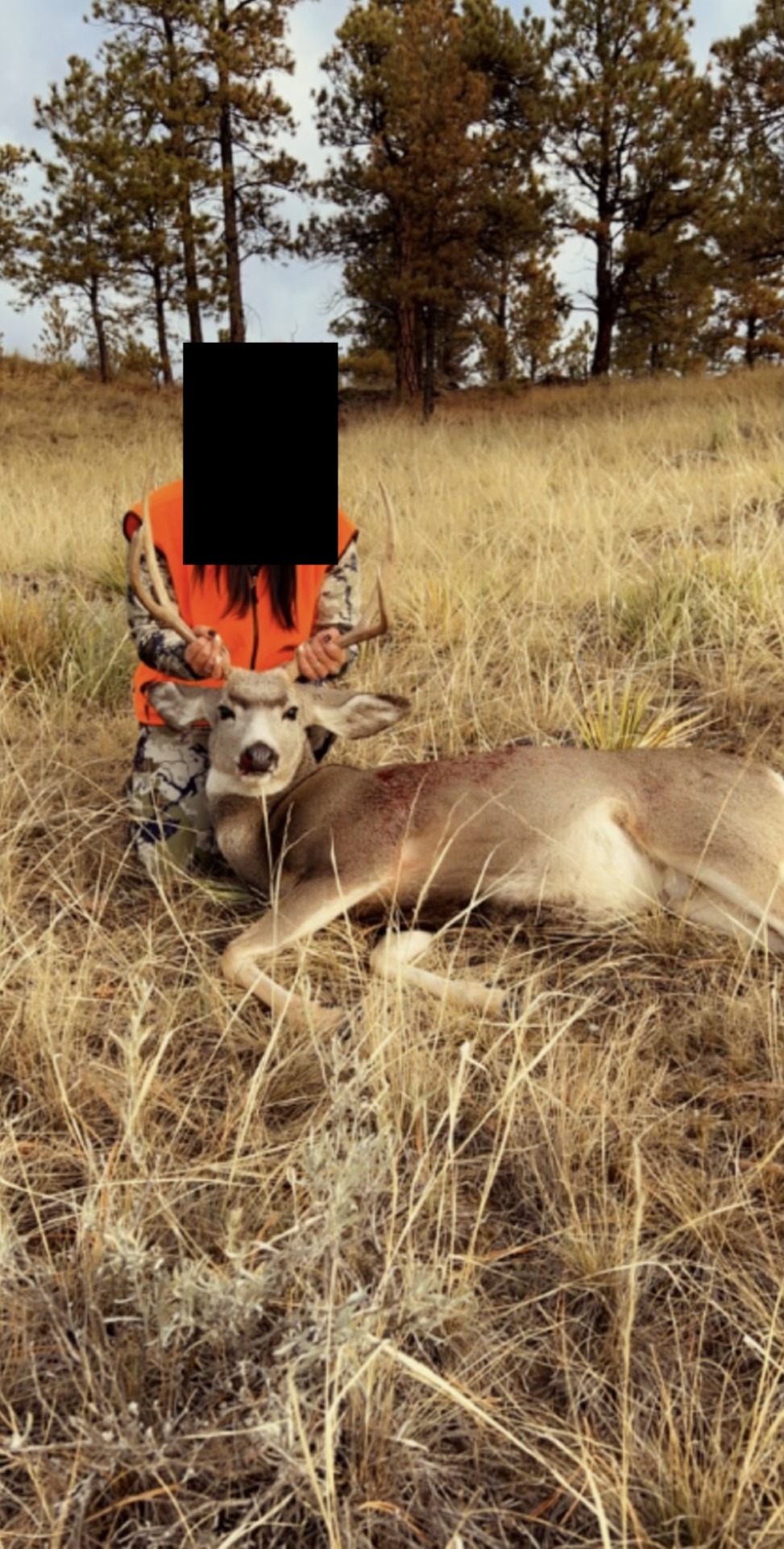 Elk Paradise Trophy Ranches