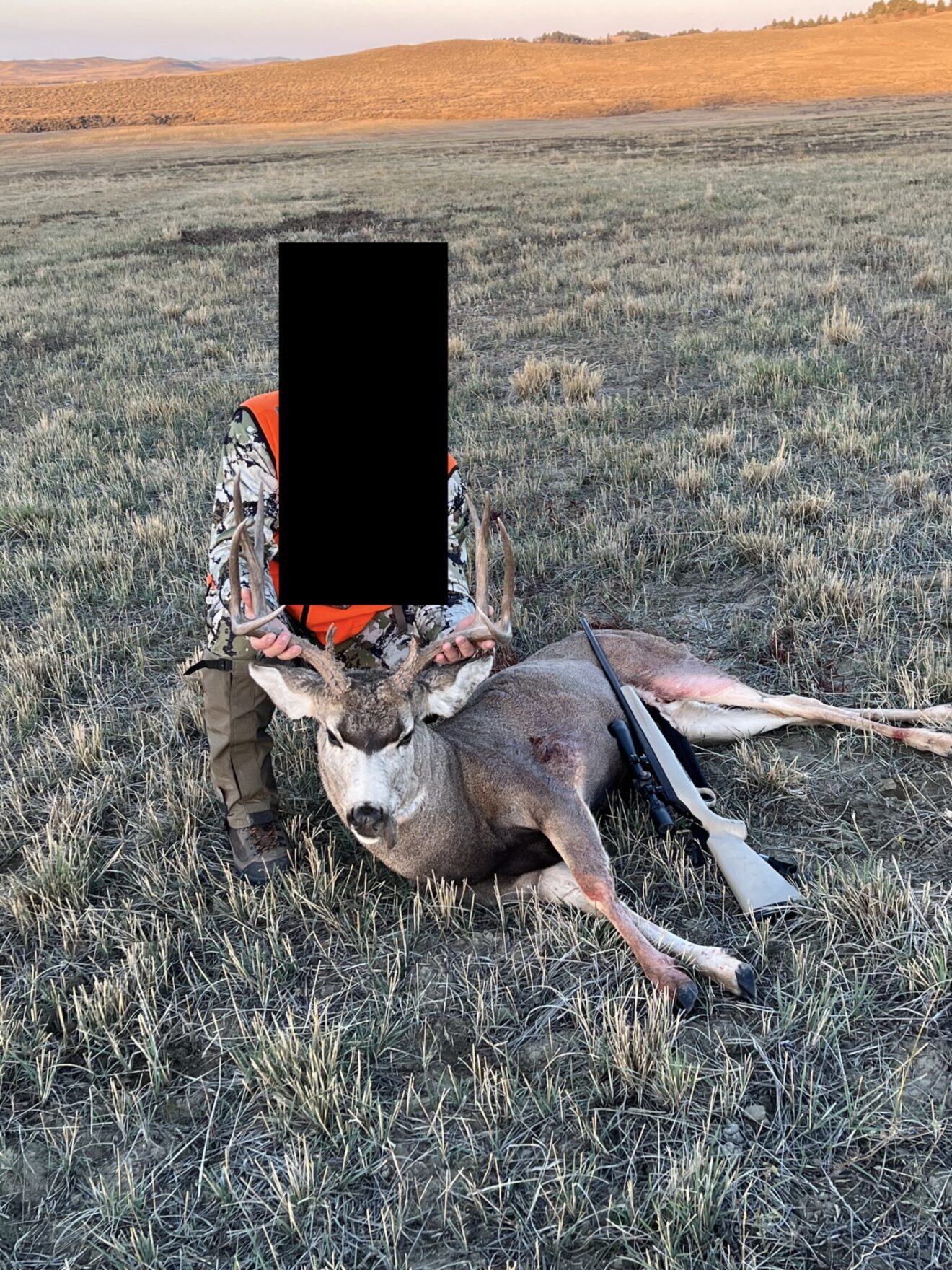 Elk Paradise Trophy Ranches