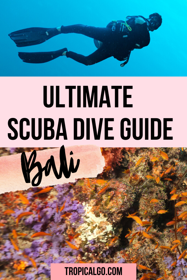The Ultimate Guide to Scuba Diving in Bali Tropical Go!