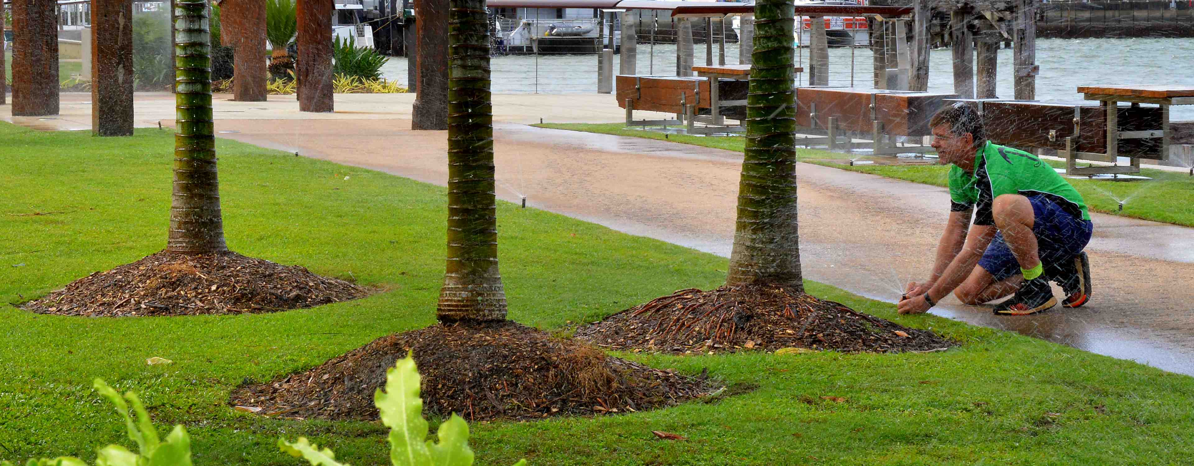 Tropical Irrigation Services Cairns