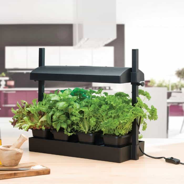 How Many Lumens To Grow Plants? Tropical Plant Guy
