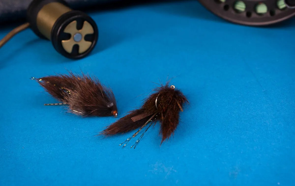 Troutbitten Troutbitten Mantis Crayfish