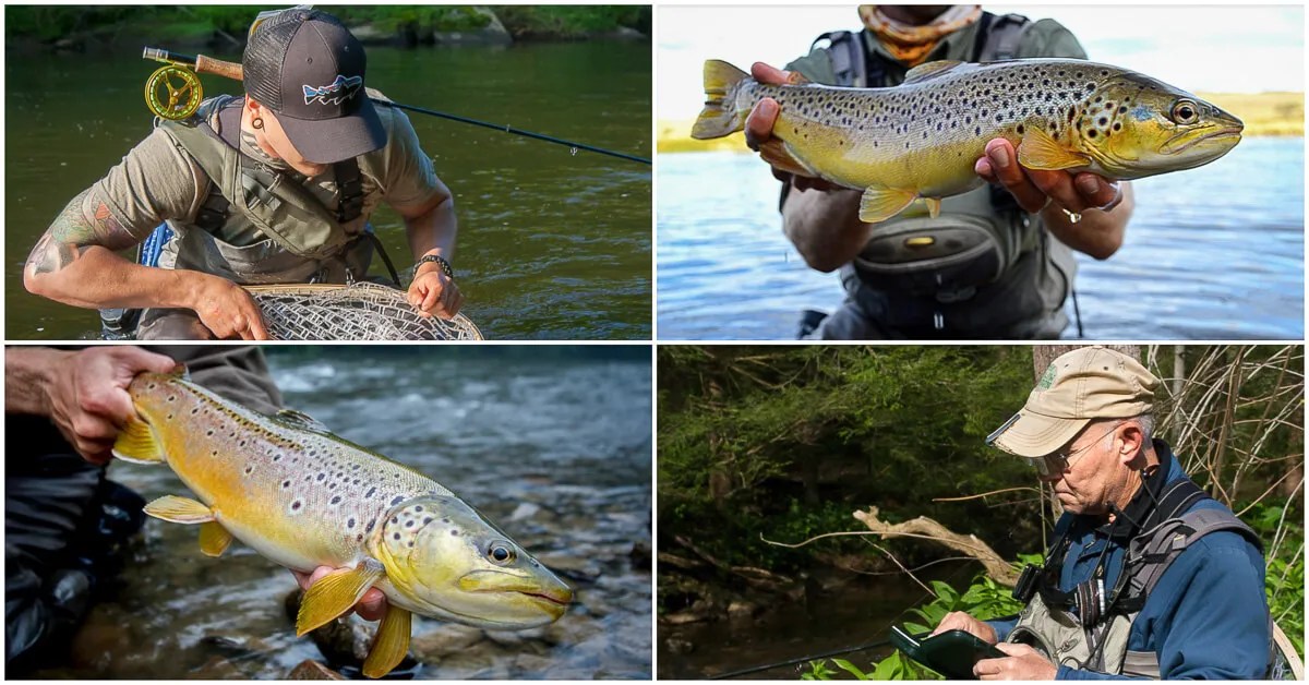 Troutbitten Guided Fly Fishing Trips Troutbitten