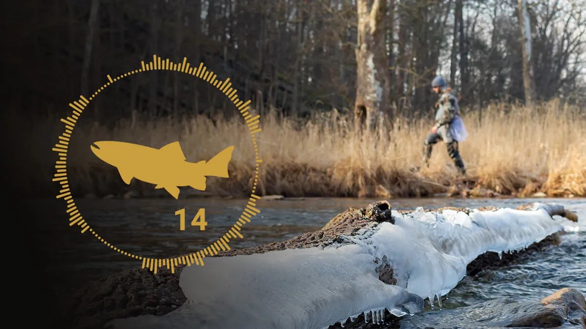 Podcast Ep 14 Winter Fly Fishing Tips and Tactics Troutbitten