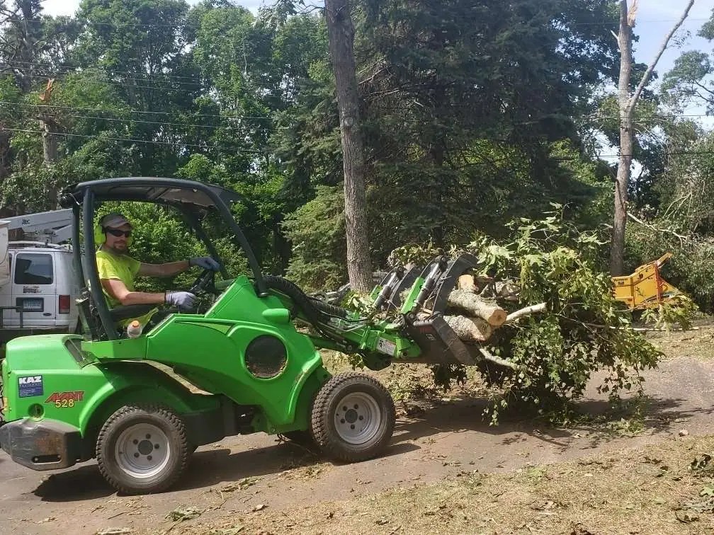 Tree work Gallery Trout Brook Arborists