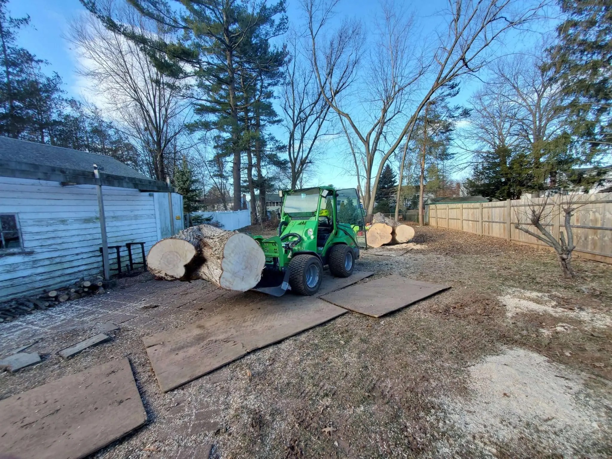 Tree work Gallery Trout Brook Arborists