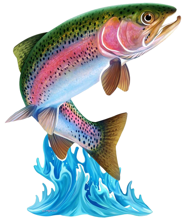 Trout Derby 1 Trout Derby Chambersburg