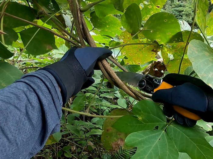 藪漕ぎが楽しくなる快適ノコギリ trouting